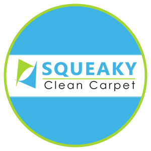 SQUEAKY CLEAN CARPET